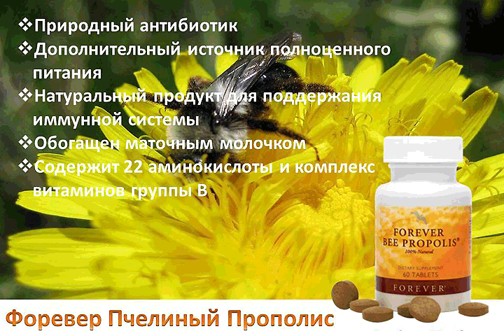   / Bee Propolis Forever  