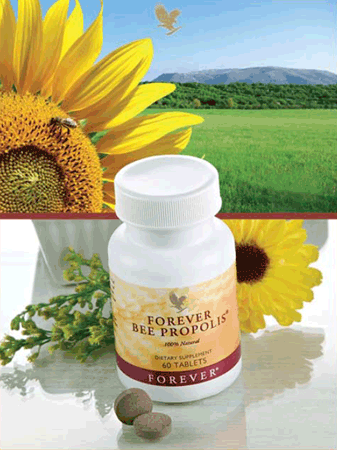   60 ,  Bee Propolis Forever
